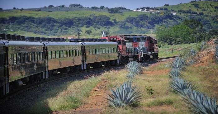 Aprueban senadores reforma que posiciona a sector ferroviario como impulsor de la economía