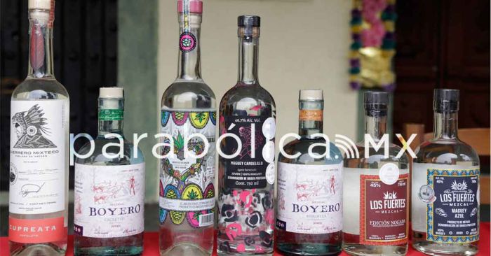 Promueve Canirac la segunda edición del festival &quot;Puebla es mi mezcal&quot;