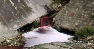 Indagarán municipio contaminación en el Río Alseseca: Medio Ambiente