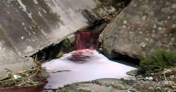 Indagar&aacute;n municipio contaminaci&oacute;n en el R&iacute;o Alseseca: Medio Ambiente