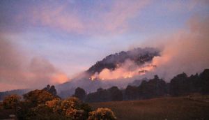 Reporta Medio Ambiente incendios activos en Quecholac, Tlachichuca y Tianguismanalco