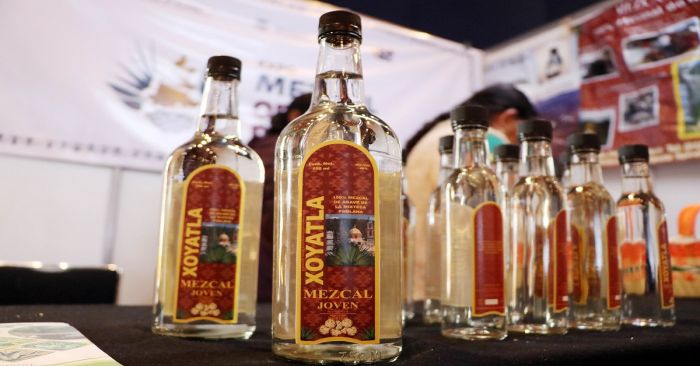 Respalda SDR a productores de mezcal para Concurso Nacional de Marcas