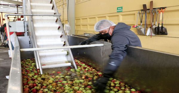 Incrementan de enero a marzo ventas de industria manufacturera de Puebla: Economía