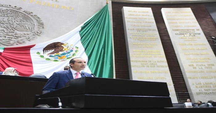 Podrá Congreso de la Unión legislar a favor del bienestar animal