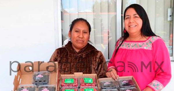 Promueve gobierno de Puebla consumo local de frambuesas y zarzamoras