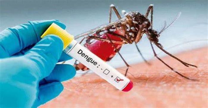 Reportan 3 mil 159 casos de dengue en Puebla