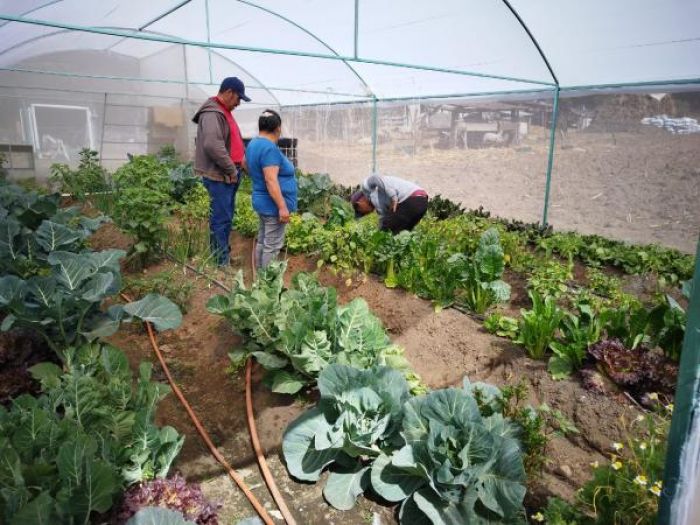 Consolida Bienestar Programa Integral Alimentario en el estado