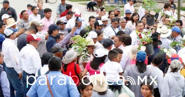 Registra Armenta cerca de 500 jornadas forestales en su campaña Sembremos Esperanza