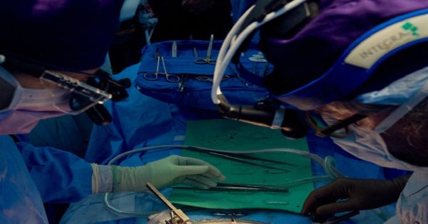 Logran científicos trasplantar riñón de un cerdo en cuerpo humano