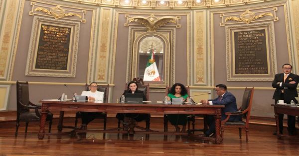 Analizarán diputados iniciativa para fomentar la protección y bienestar animal