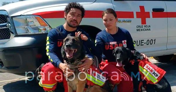 Héroes: Regresan los caninos Rex y July de Cruz Roja a su casa en Puebla