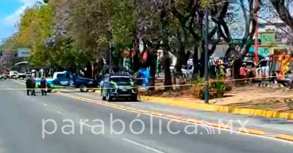 Se suicida un hombre en un árbol del Bulevar 5 Mayo