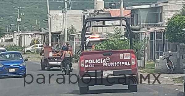 Traslada patrulla de Chietla plantas de marihuana