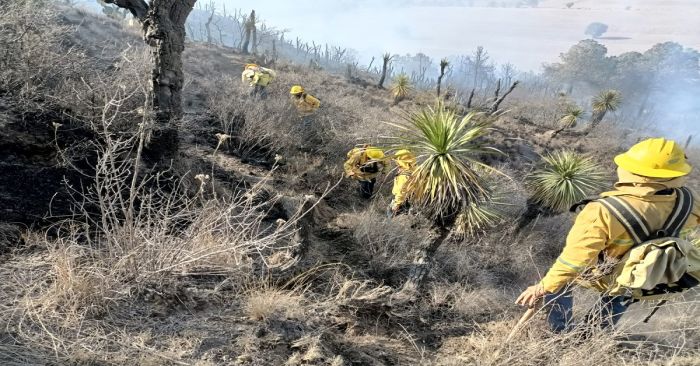 Extinguen en tres días 17 incendios forestales en Puebla