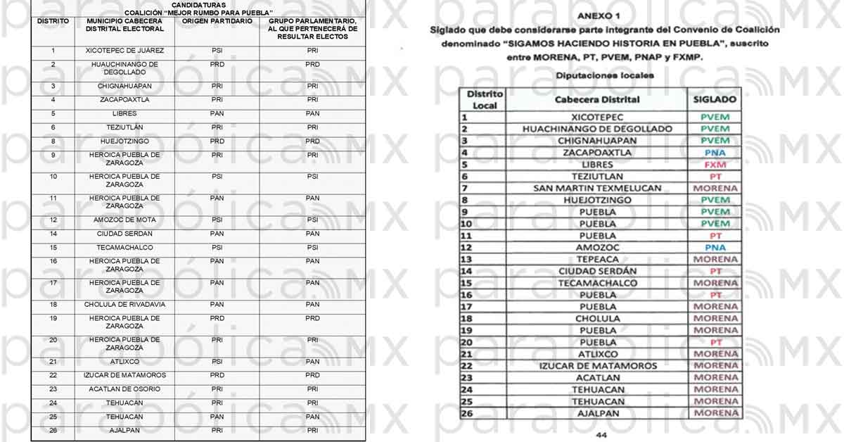 0801diputados