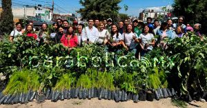 Realiza equipo Armenta jornadas de reforestación en Puebla y Tehuacán