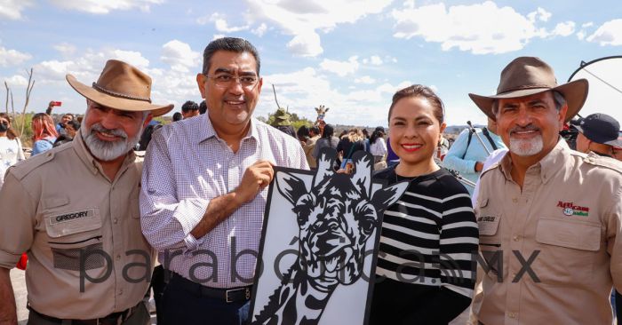 Da Puebla la bienvenida a la jirafa Benito