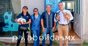 Propone Riestra hacer de Puebla el lugar más amigable para los perros en todo el país