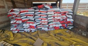 Recuperan más de 14 toneladas de maíz durante cateo en Cuautlancingo