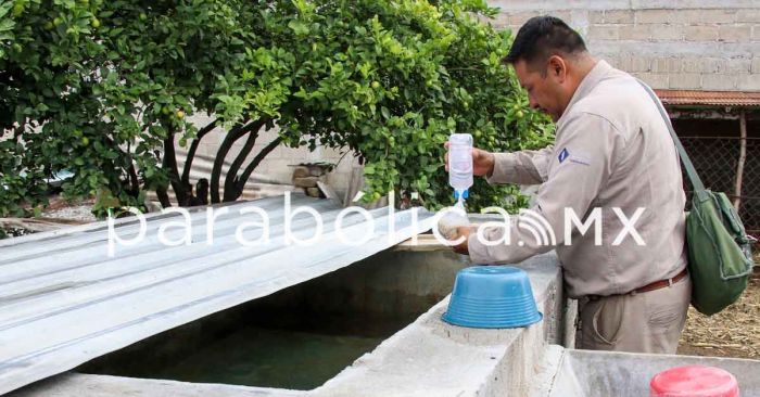 Se confirman 19 nuevos casos de dengue en Puebla en las últimas horas: Salud