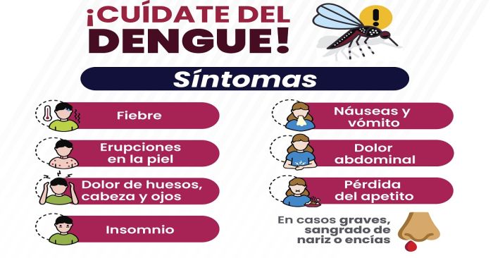 Registra Puebla 91 nuevos contagios de dengue en últimas 24 horas: Salud