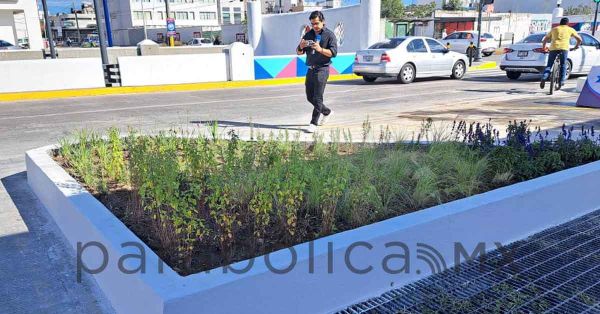 Rehabilitan el bulevar Aar&oacute;n Merino