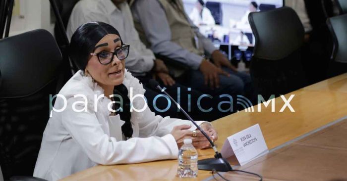 Ungen a Rosa Isela Sánchez Soya titular de la CDH Puebla