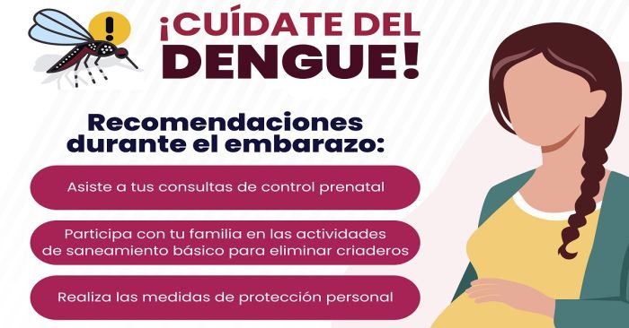 Descartan presencia de dengue en zonas endémicas de Puebla: Salud