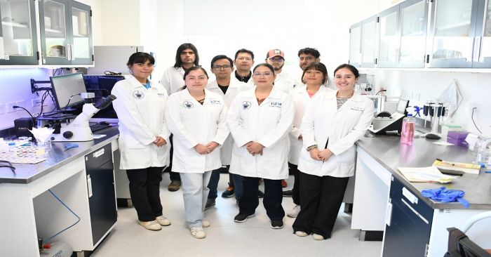 Desarrollan en la BUAP sensor microflu&iacute;dico de papel para la detecci&oacute;n de iones de ars&eacute;nico