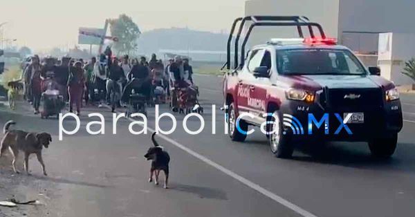 Llegan a Puebla m&aacute;s de 600 integrantes del "Viacrucis migrante"