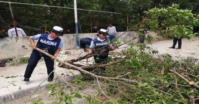 Continúa Plan Marina en Yucatán tras el paso de &#039;Beryl&#039;