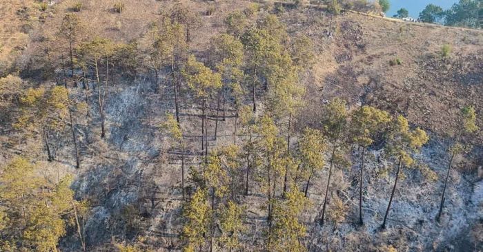 Liquidado al 50% incendio en Zacatlán