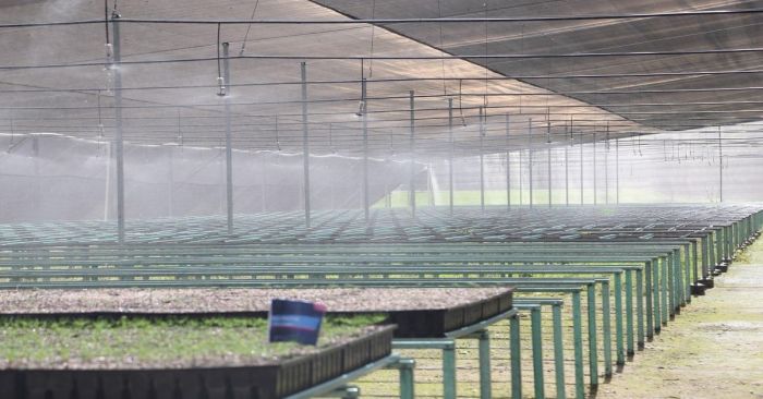 Inauguran 2&ordf; etapa del Parque del Ajolote