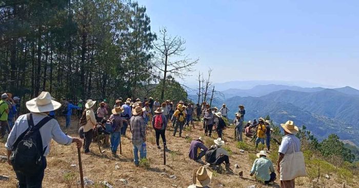 Controlan al 80% incendio forestal de Cuautla, Coyomeapan