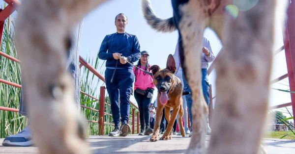 Otorgará Mario Riestra 50 mil esterilizaciones para perros y gatos