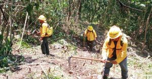 Reporta Sergio Salomón 17 incendios forestales atendidos