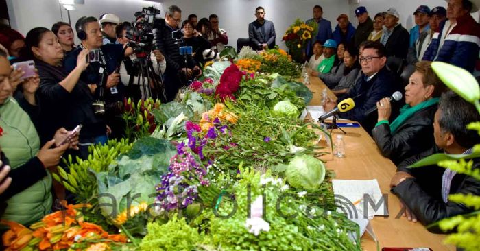 Impulsan diputados locales a productores de flor de cempasúchil