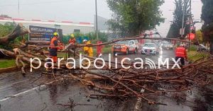 Causan lluvias de la madrugada estragos en la capital poblana