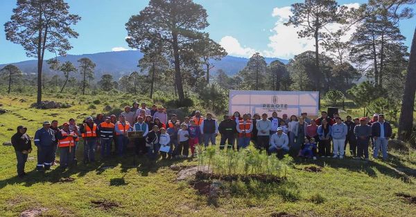 Apoya Granjas Carroll de México reforestación en Tenextepec