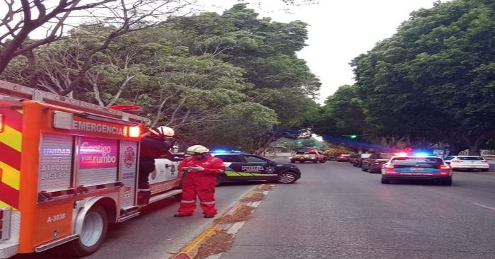 Se cae un &aacute;rbol en la capital poblana debido a los fuertes vientos
