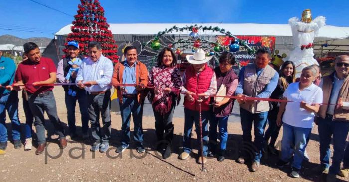 Impulsan diputados venta de flor de Nochebuena, en Atlixco