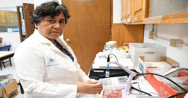 Propone acad&eacute;mica BUAP usar arcillas para evitar las micotoxinas en el ma&iacute;z