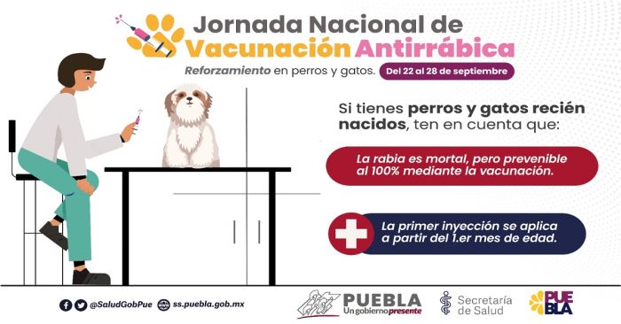 Anuncia jornada de vacunación antirrábica para perros y gatos