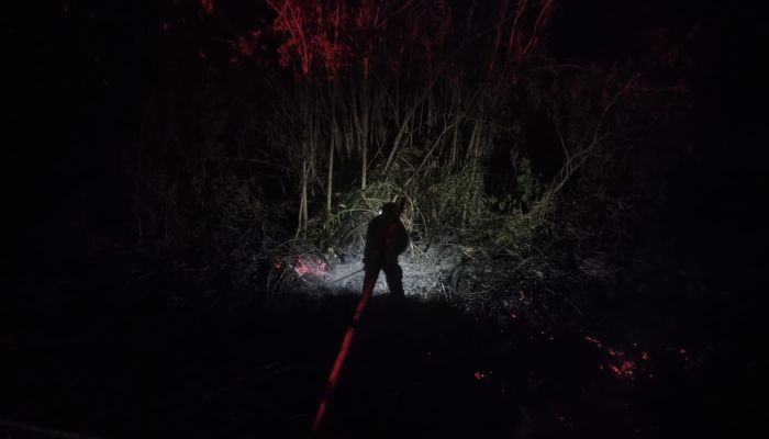 Suman 124 incendios en lo que va del año enPuebla