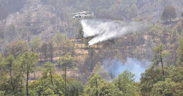 Dañadas 210 hectáreas por incendio forestal de Libres