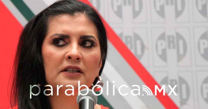 Pide PRI perfil apartidista para la CDH