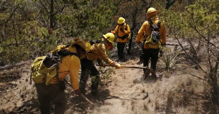 Liquidan al 80% incendio en Quimixtlán