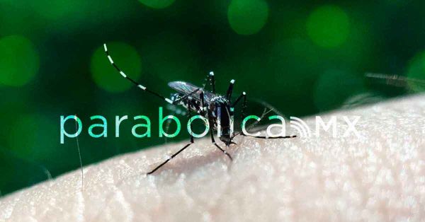 Sigue Puebla sin casos de dengue en lo que va del 2024: Salud