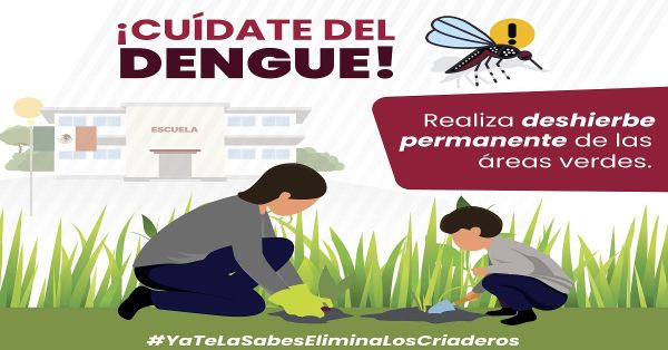 Reportan diversos casos de dengue en 75 municipios de Puebla: Salud