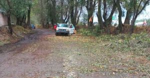 Ejecutan a tres guardabosques de San Salvador El Verde